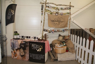 Kaunase kodulindude näitus 2020