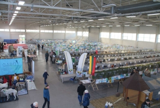 Kaunase kodulindude näitus 2020
