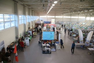 Kaunase kodulindude näitus 2020