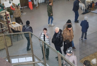 Kaunase kodulindude näitus 2020