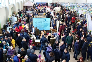 Kaunase kodulindude näitus 2020