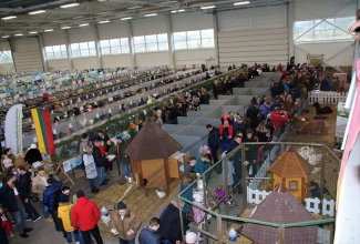 Kaunase kodulindude näitus 2020