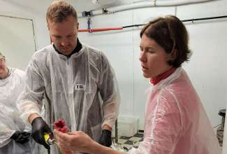 Kodulindude-algtootlemise-koolitus-10