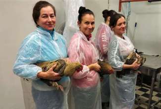 Kodulindude-algtootlemise-koolitus-2