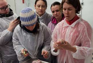 Kodulindude-algtootlemise-koolitus-5