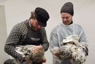 Kodulindude-algtootlemise-koolitus-6