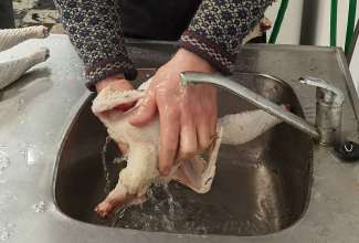 Kodulindude-algtootlemise-koolitus-9