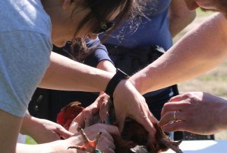 Koolitus-Estfarmis-13.05-13