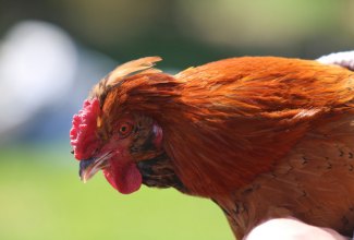 Koolitus-Estfarmis-13.05-14