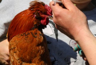 Koolitus-Estfarmis-13.05-15