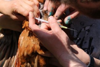 Koolitus-Estfarmis-13.05-16