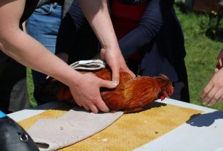 Koolitus-Estfarmis-13.05-5