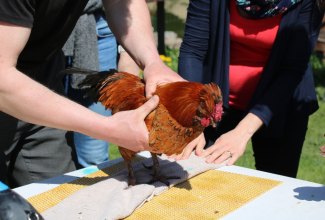 Koolitus-Estfarmis-13.05-6