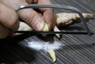 Kuke kannuste lühendamine, foto Estfarm