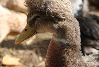 Külas-Katerina-Kasatkinal-23.07.2020-16