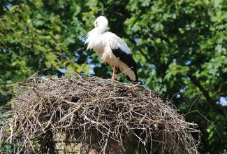 Külas-Katerina-Kasatkinal-23.07.2020-17