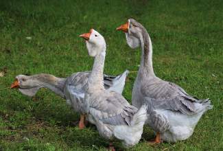 Külas-Katerina-Kasatkinal-23.07.2020-5