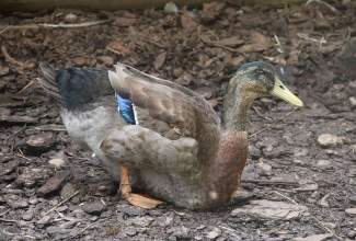 Külas-Katerina-Kasatkinal-23.07.2020-7