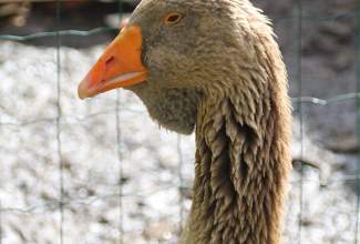 Külas-Katerina-Kasatkinal-23.07.2020-8