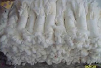 Karusnahk, foto FUR and RHJY