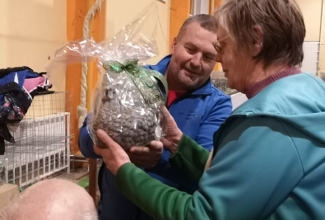 Läti I kodulindude ja küülikute näitus