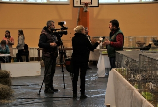 Läti I kodulindude ja küülikute näitus