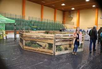 Läti I kodulindude ja küülikute näitus