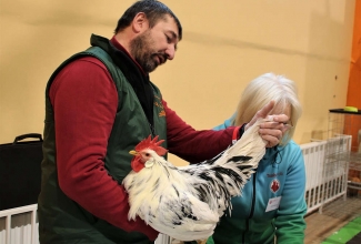 Läti I kodulindude ja küülikute näitus
