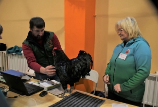Läti I kodulindude ja küülikute näitus