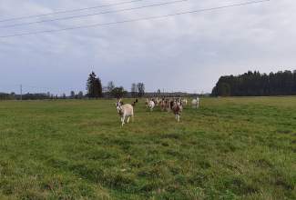 Eesti-Linnukasvatajate-Seltsi-tänukirja-üleandmine-Lepaniidi-Mahetalule-Luige-Lind-2020-toetamise-eest-4