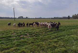 Eesti-Linnukasvatajate-Seltsi-tänukirja-üleandmine-Lepaniidi-Mahetalule-Luige-Lind-2020-toetamise-eest-5