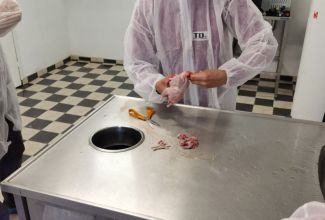 Lindude-algtootlemise-koolitus-1