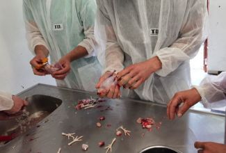 Lindude-algtootlemise-koolitus-4