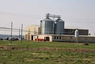 Linnu Talu külastus 24.04.2019