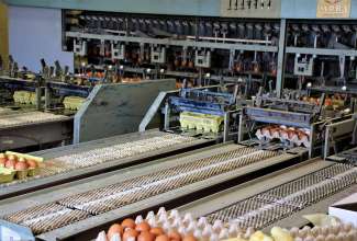 Linnu Talu külastus 24.04.2019