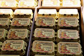 Linnu Talu külastus 24.04.2019