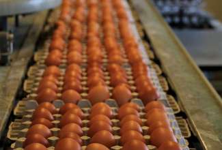 Linnu Talu külastus 24.04.2019