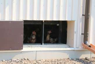 Linnu Talu külastus 24.04.2019