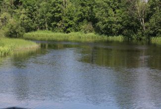 Linnukasvatajate-4-taseme-lopupidu-Pihla-Puhkemajas-19.06-2