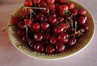 Linnukasvatajate-4-taseme-lopupidu-Pihla-Puhkemajas-19.06-87