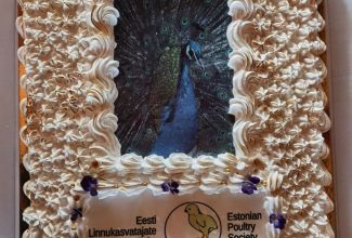 Linnukasvatajate-4-taseme-lopupidu-Pihla-Puhkemajas-19.06-95