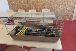 Linnukasvatajate-4-taseme-eksam-08.06-5