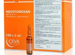 Foto: https://ge.all.biz/neostomosan-g20937