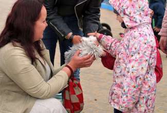 Luige Maaelu Näituslaat 2019