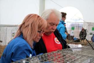 Luige Maaelu Näituslaat 2019