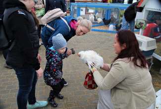 Luige Maaelu Näituslaat 2019