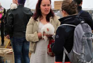 Luige Maaelu Näituslaat 2019