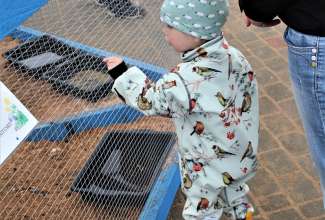 Luige Maaelu Näituslaat 2019