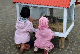 Luige Maaelu Näituslaat 2019