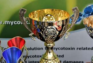 Luige Maaelu Näituslaat 2019